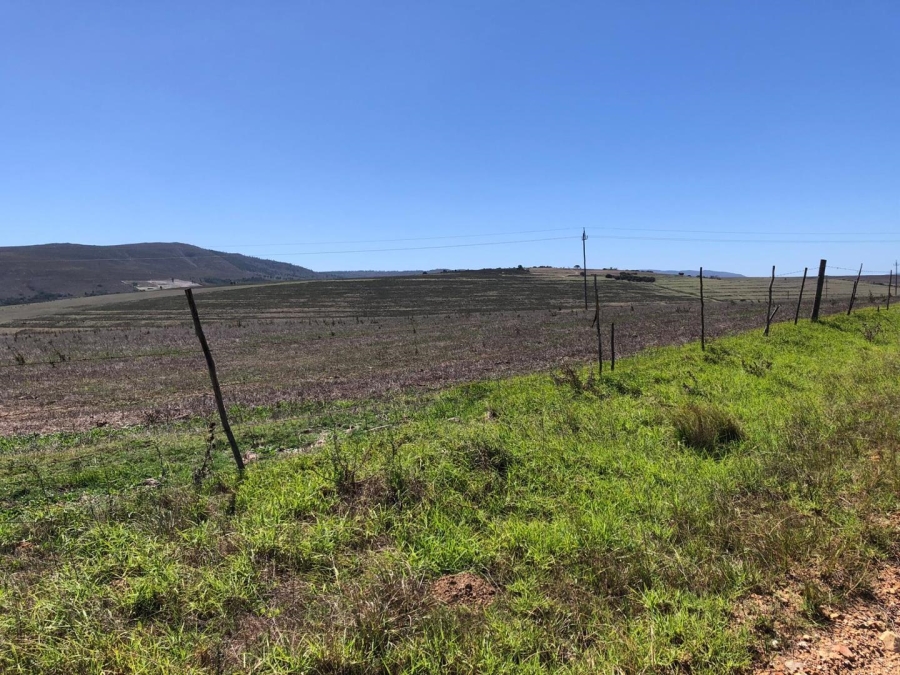 Commercial Property for Sale in Baardskeerdersbos Western Cape